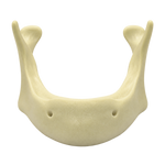 Edentulous Mandible