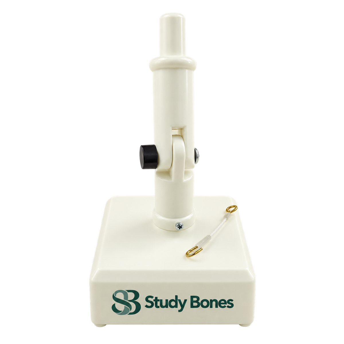 Dental Model Holder