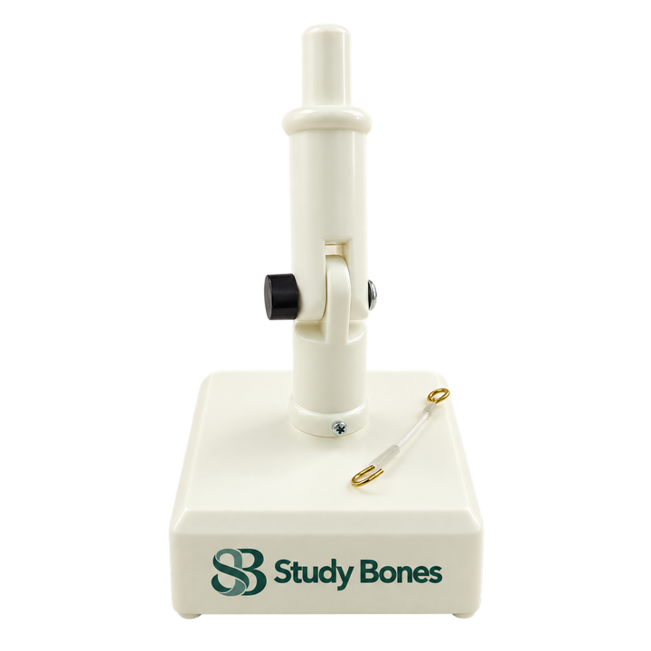 Dental Model Holder