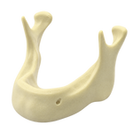 Edentulous Mandible